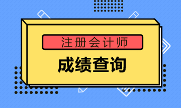 安徽蕪湖注冊會計師成績查詢