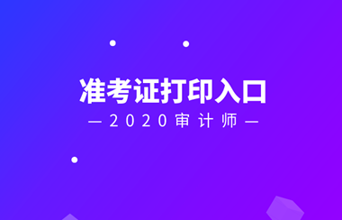 2020審計(jì)師準(zhǔn)考證打印入口