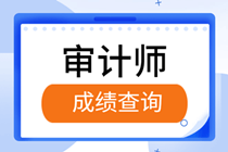 2019審計(jì)師成績(jī)查詢