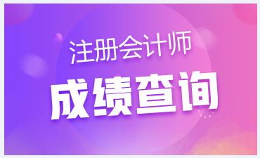 海南注會(huì)成績查詢?nèi)肟陂_通了