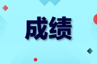 中級(jí)經(jīng)濟(jì)師成績(jī)