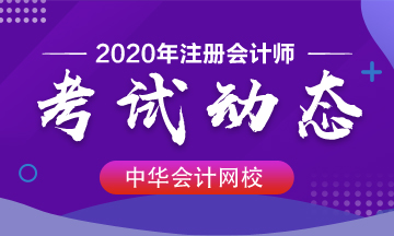 2020年cpa考試時間是哪天？