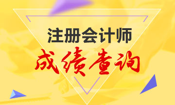 2019年注冊會計(jì)師山東成績查詢