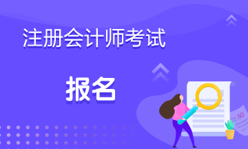 甘肅的朋友了解2020年cpa全國統(tǒng)一考試網(wǎng)上報名時間嗎？