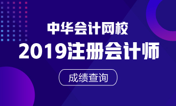 山東2019年注冊會計師官網(wǎng)成績查詢?nèi)肟谑悄膫€？