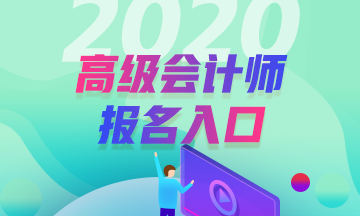 廣東2020年高級會計師報名入口