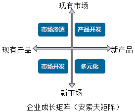 2020高級(jí)會(huì)計(jì)師知識(shí)點(diǎn)：密集型戰(zhàn)略