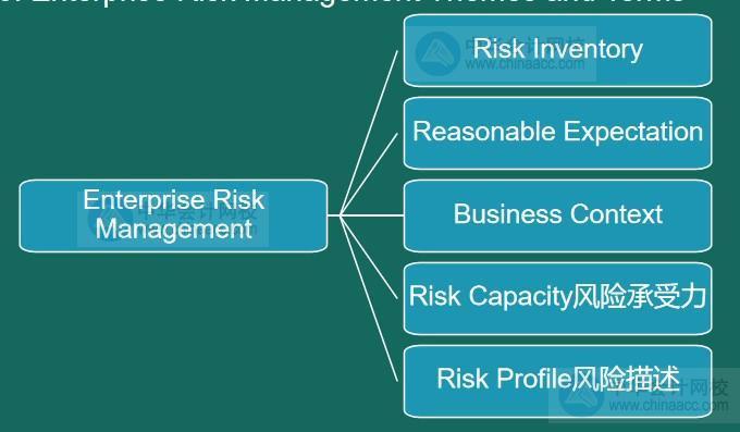 AICPA知識點：企業(yè)風(fēng)險管理Themes and Terms