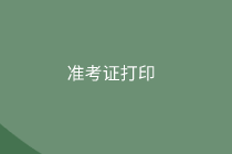 2020審計師準(zhǔn)考證打印信息