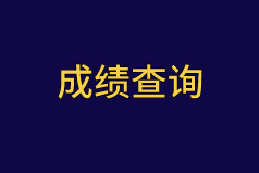 2020中級(jí)審計(jì)師成績(jī)查詢