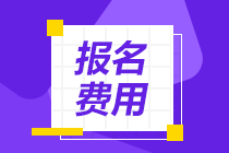 2020年各省注冊(cè)會(huì)計(jì)師考試報(bào)名費(fèi)用匯總表一覽！