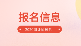 2020審計(jì)師報(bào)名信息