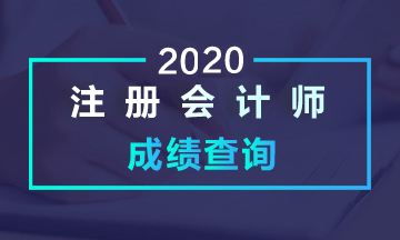 2020青海注會(huì)考試成績(jī)查詢時(shí)間