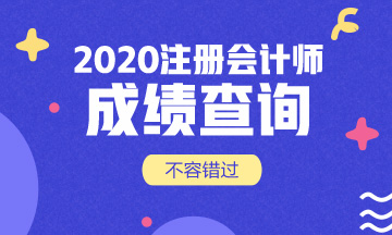 河南2020年注會(huì)成績(jī)查詢時(shí)間