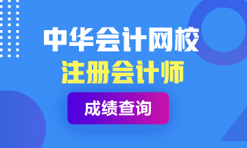 2020年青海注會(huì)考試成績(jī)查詢?nèi)肟陂_(kāi)通時(shí)間