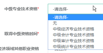 中級專業(yè)技術(shù)資格