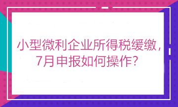 小型微利企業(yè)所得稅緩繳，7月申報(bào)如何操作？看這里！