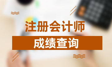 2020年廣西注冊會計師考試成績查詢時間 