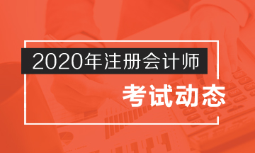 西藏cpa2020年考試時間來嘍！