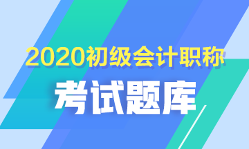 2020年河南省初級會計考試看什么題？