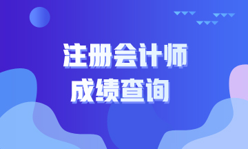 2020年CPA什么時候可以查成績？