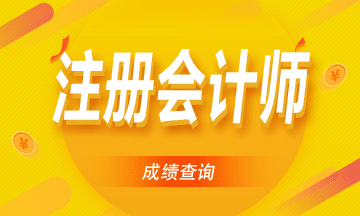 廣東注會考試2020成績查詢入口開通時間