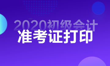 西藏會(huì)計(jì)初級(jí)職稱(chēng)準(zhǔn)考證打印時(shí)間2020是什么時(shí)候？