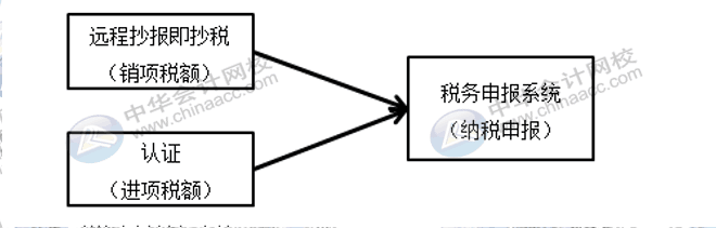 每月征期該怎么抄報(bào)呢？步驟來(lái)了~