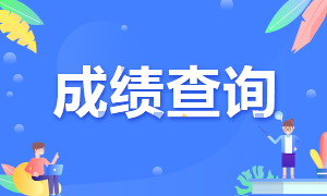 安徽2020CPA成績(jī)查詢 你該知道這些