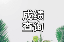 南京2020年資產(chǎn)評(píng)估師考試成績(jī)查詢開始了！