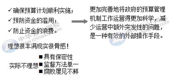 會計師事務所在政府預算績效評價中有什么作用？