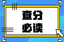 2020中級(jí)會(huì)計(jì)職稱(chēng)查分總攻略：查分前中后都得注意點(diǎn)啥？