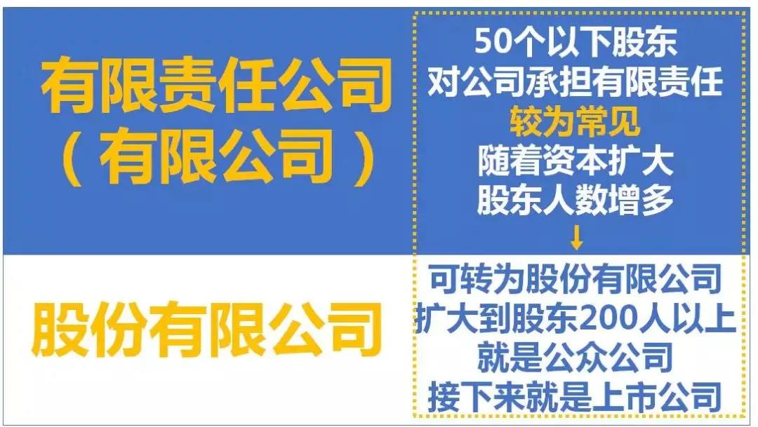 最全總結(jié)！公司、個體戶、分公司、子公司、有限公司有啥區(qū)別？