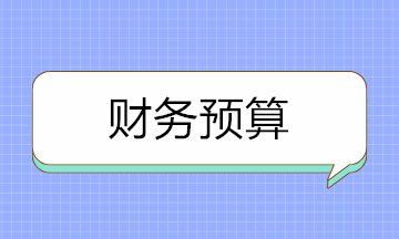 財務(wù)預(yù)算的編制原則及編制步驟