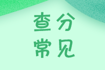 安徽2020會計中級成績查詢入口官網開通了嗎？