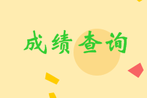 青海會(huì)計(jì)成績(jī)查詢?nèi)肟?你找到了嗎？