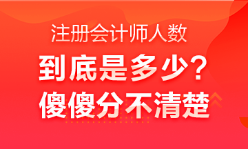 中國注冊會計(jì)師行業(yè)全國從業(yè)人員超40萬人？不是二十多萬嗎？