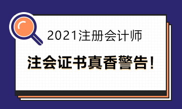 擁有注會證書是多香的一件事?。? suffix=