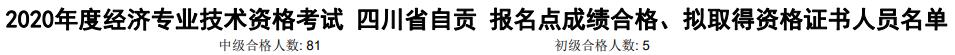 自貢2020年初中級(jí)經(jīng)濟(jì)師考試合格人數(shù)