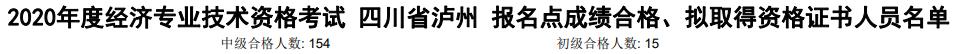 瀘州2020年初中級(jí)經(jīng)濟(jì)師考試合格人數(shù)