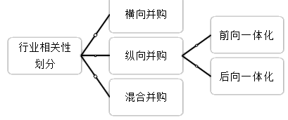 2021高會(huì)《高級會(huì)計(jì)實(shí)務(wù)》考試知識點(diǎn)：企業(yè)并購類型（二）