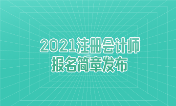 重大消息：2021年注冊會(huì)計(jì)師報(bào)名簡章發(fā)布