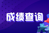 4月證券考試出成績了？怎么查詢？