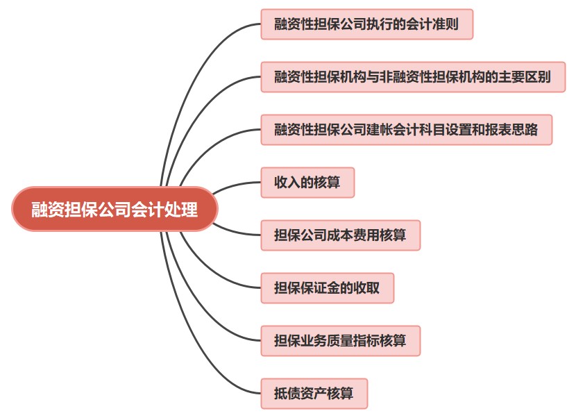 金融公司財務(wù)人員必看！融資擔(dān)保公司會計處理