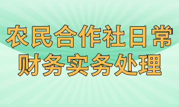 農(nóng)民專(zhuān)業(yè)合作社日常財(cái)務(wù)實(shí)務(wù)有哪些處理？