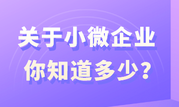 關(guān)于小微企業(yè)，你知道多少？