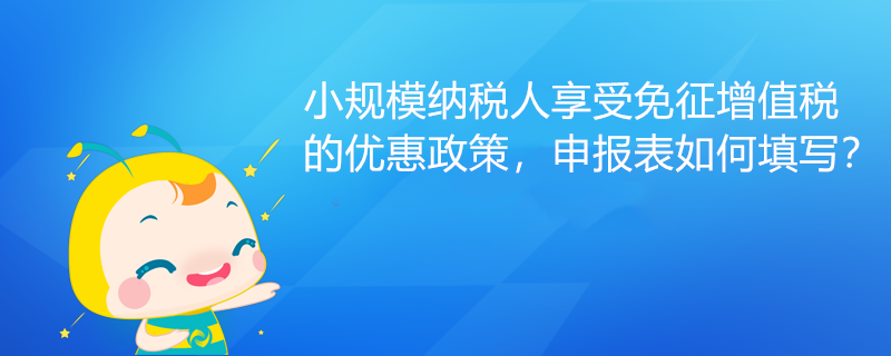 小規(guī)模納稅人享受免征增值稅的優(yōu)惠政策，申報表如何填寫？