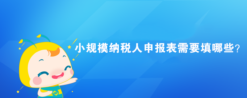 小規(guī)模納稅人申報(bào)表需要填哪些？