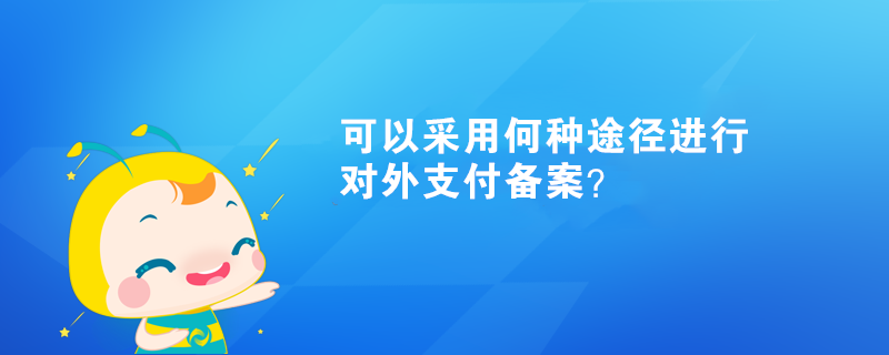 可以采用何種途徑進行對外支付備案？