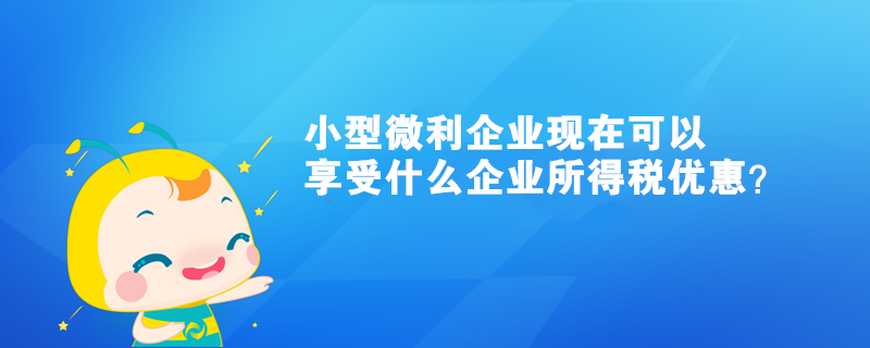 小型微利企業(yè)現(xiàn)在可以享受什么企業(yè)所得稅優(yōu)惠？